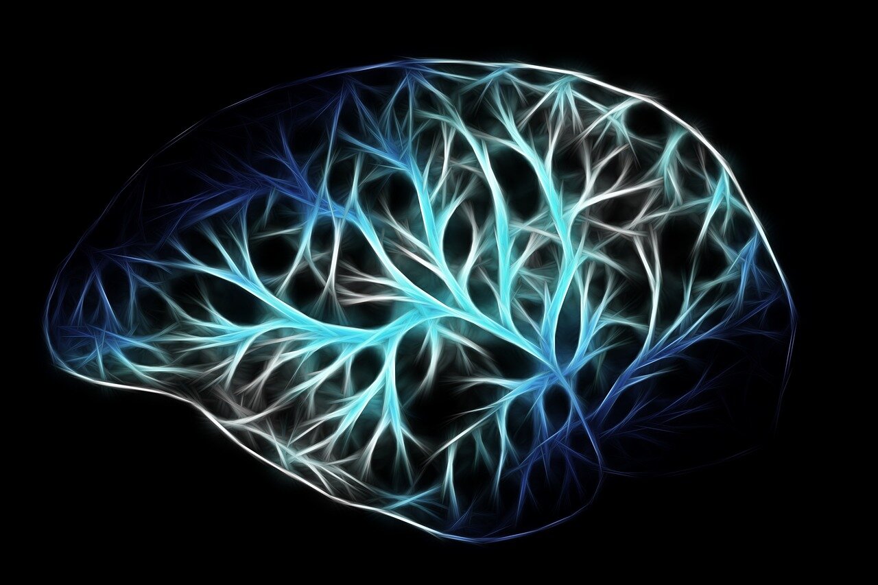 A group of neuroscientists collaborating on innovative research aimed at mapping brain pathways associated with bodily awareness