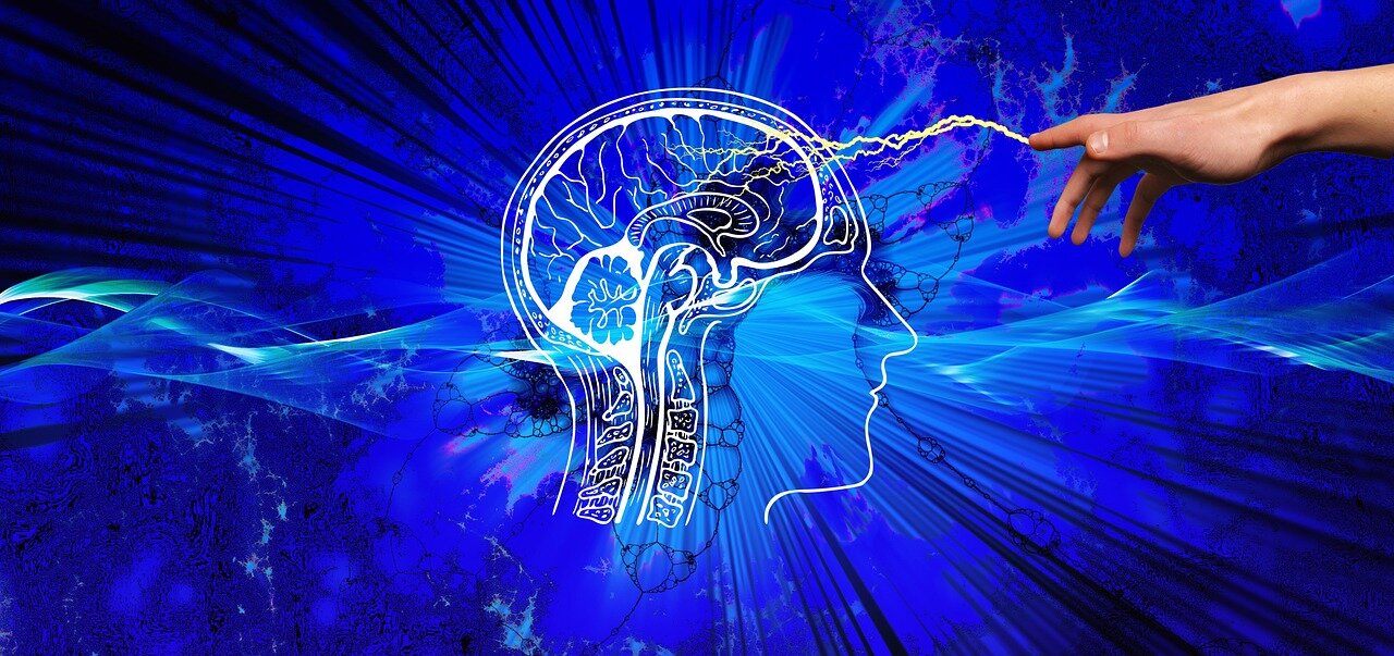 神経科学の研究者たちが身体感覚のメカニズムを解明するために協力している場面