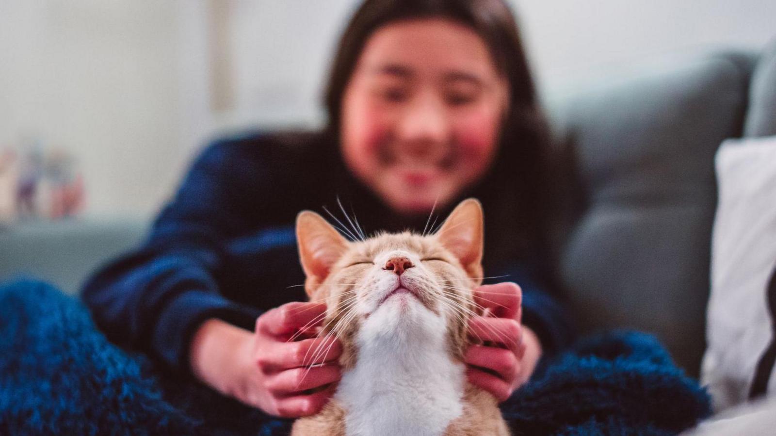 猫はあなたが思っているよりもずっと後に私たちの仲間になった