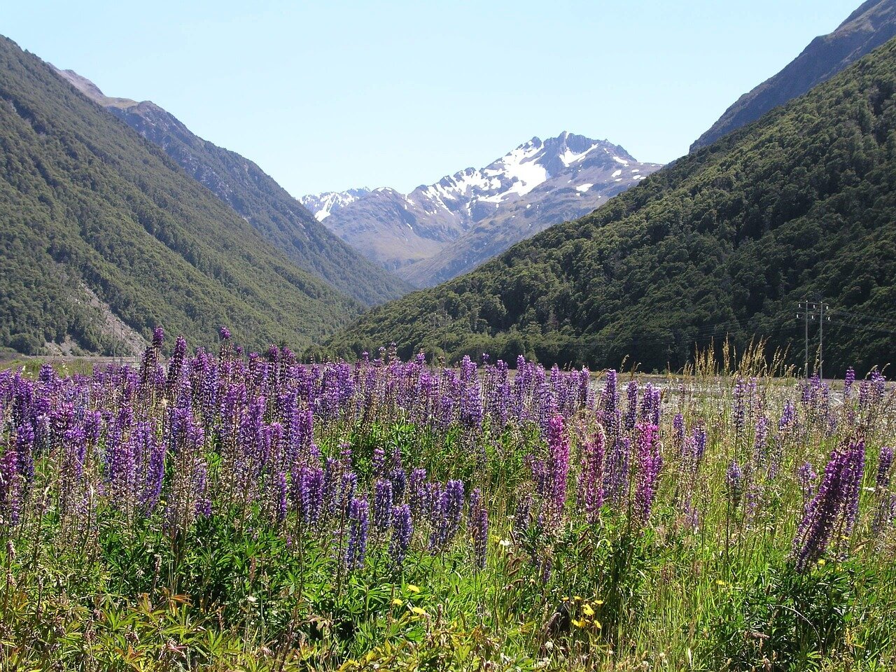 뉴질랜드 법정에서 여성의 범죄에 대한 심리를 진행하는 모습
