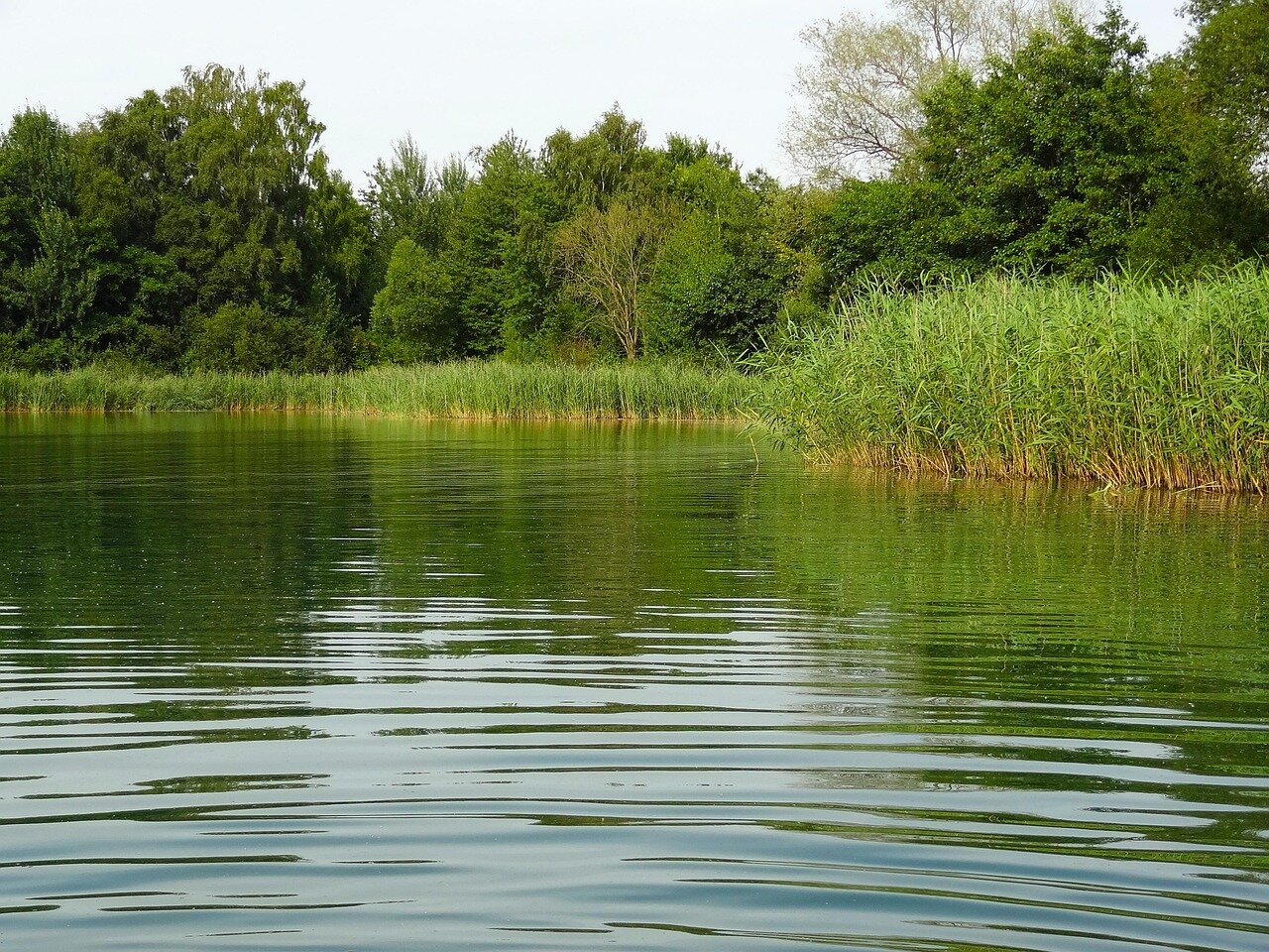 A picturesque lakeside scene with children playing and adults swimming, reflecting the enhanced recreational opportunities due to improved water conditions