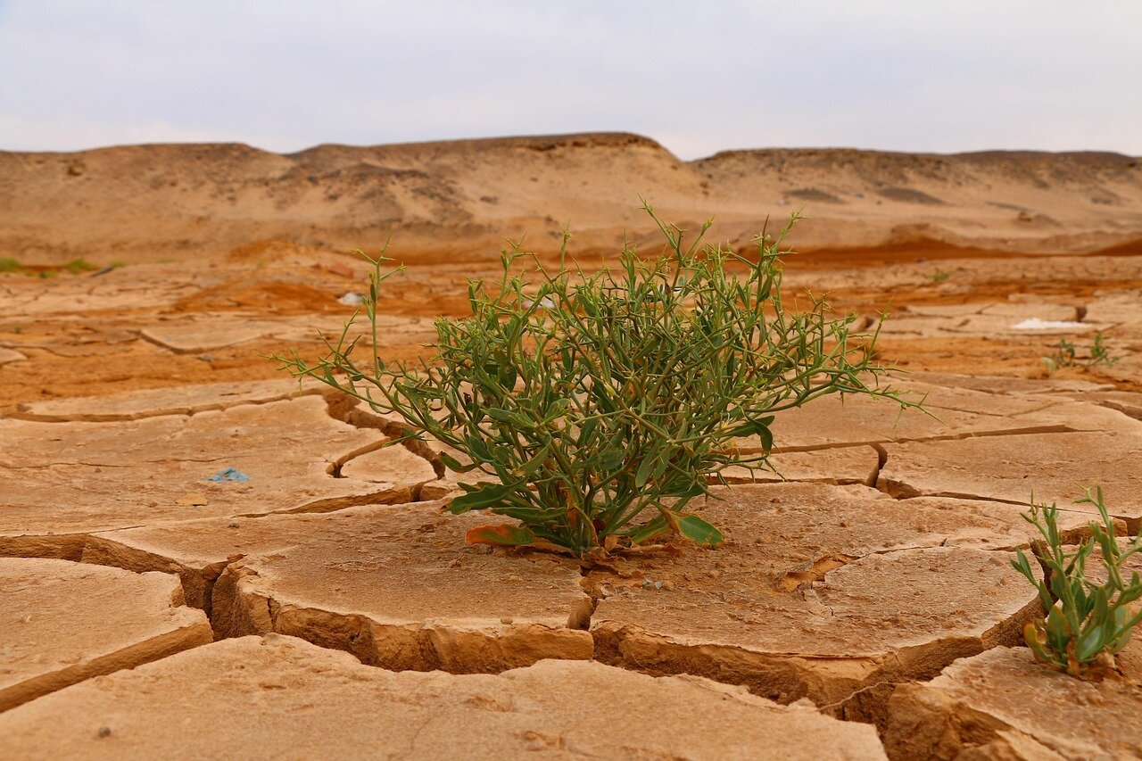 気候変動の影響を受ける地域での住民の困難な生活環境