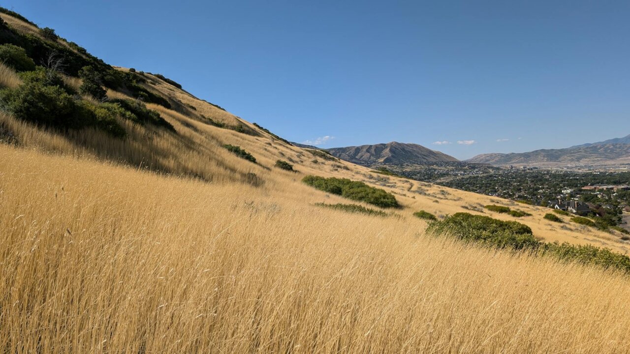 ドレイパー選手がユニバーサルテニスシリーズ（UTS）ファイナルを辞退する決定を発表する場面