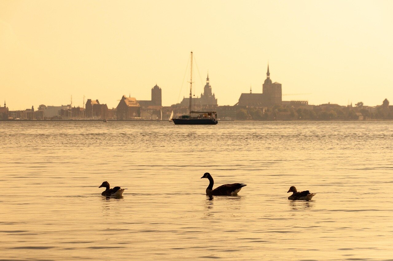 A diverse group of stakeholders, including government officials and private sector representatives, collaborating to shape the future of Germany's green hydrogen industry