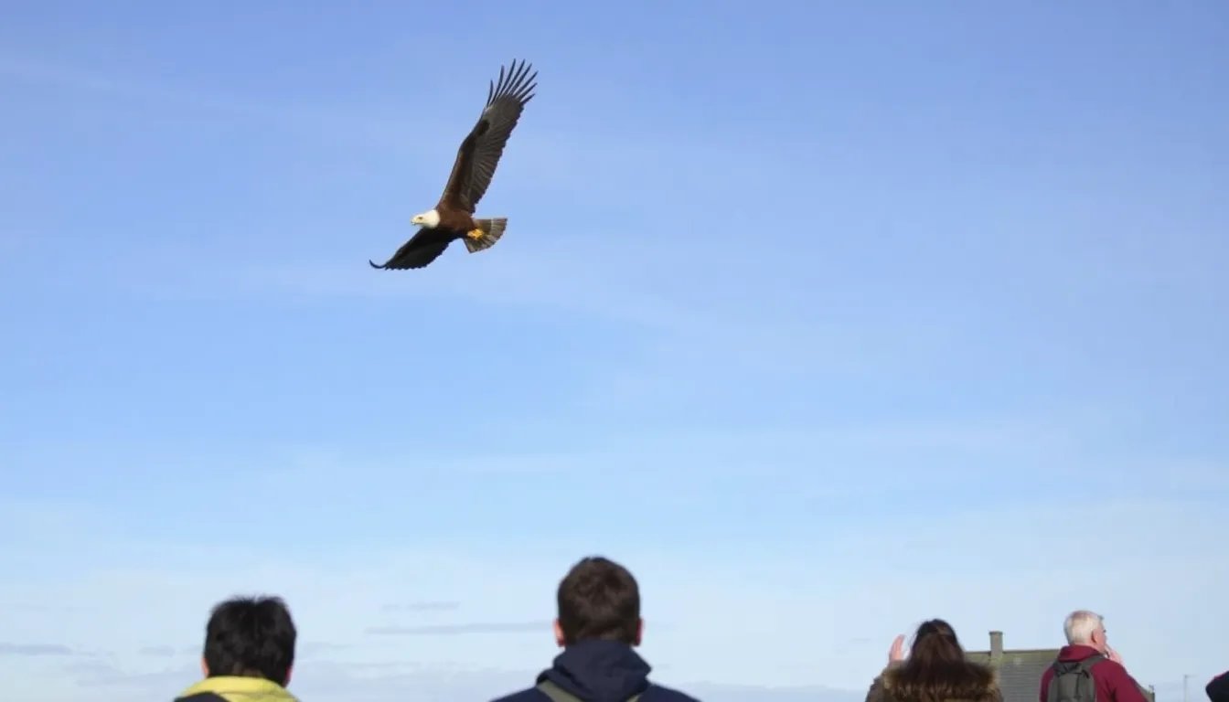 Local farmers discussing strategies to coexist with the newly reintroduced golden eagles, highlighting the balance between agriculture and wildlife conservation