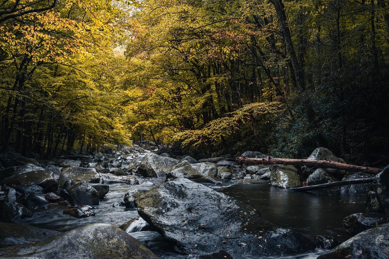 A closeup of Danielle Brooks as she shares her insights and personal stories, reflecting her commitment to empowering her audience through candid discussions