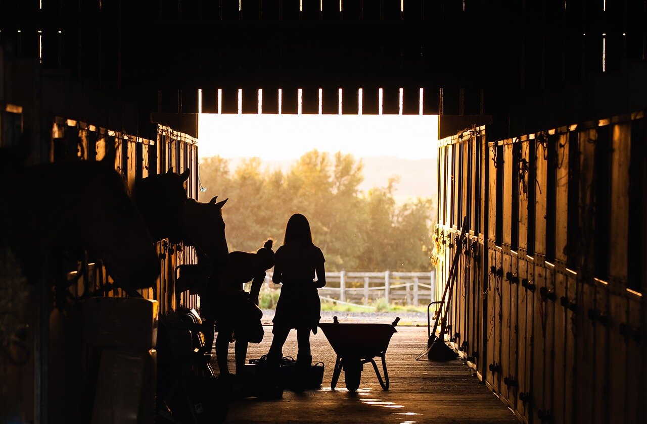The aftermath of the violent encounter leaves the ranch community in a state of uncertainty and fear, affecting local families and businesses