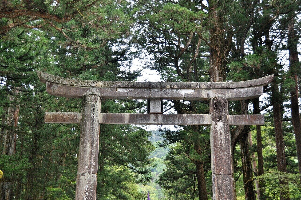 니코가 경기를 마친 후 팀원들과 함께 승리를 축하하는 장면