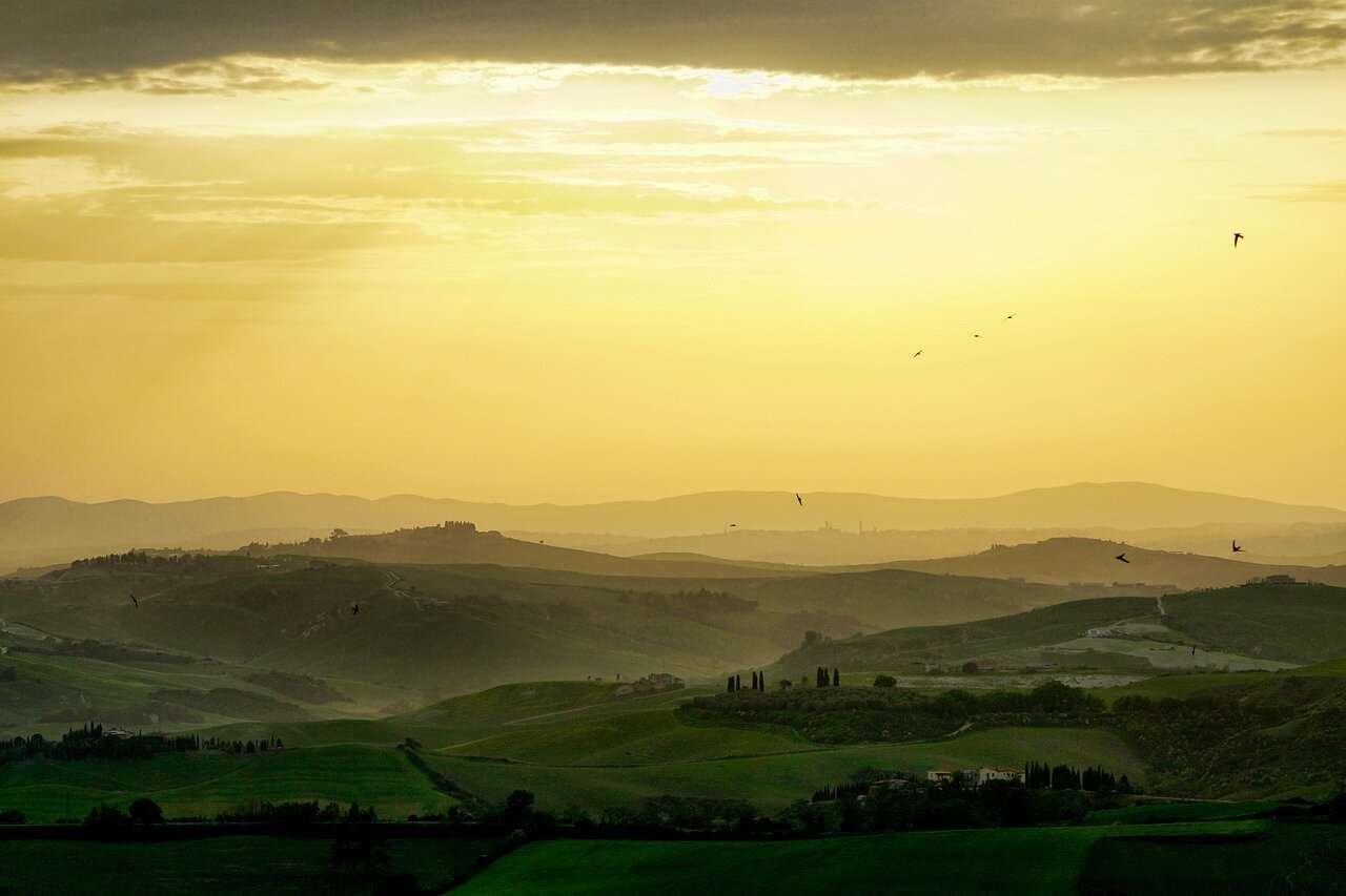 A closeup of a Tuscan countryside scene, where the interplay of light and shadow captures the essence of the winter season