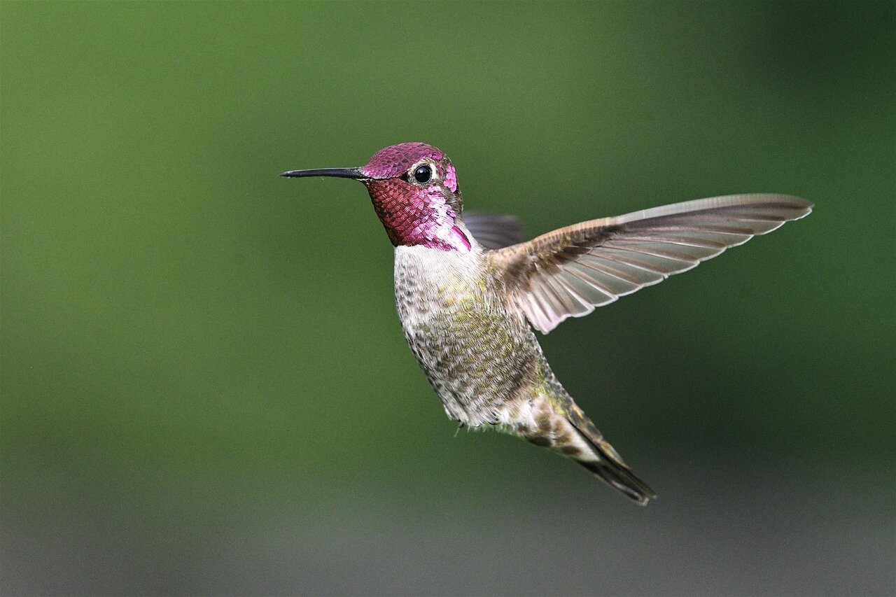 批評家たちがフリエルの演技について議論しているシーン