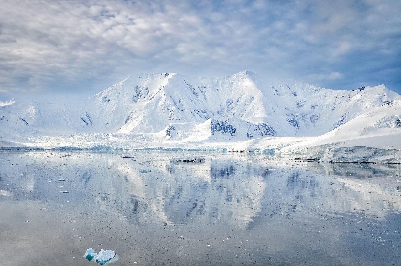 南極大陸の氷に覆われる前の温暖な気候を想像させる古代の森林や湿地帯の風景
