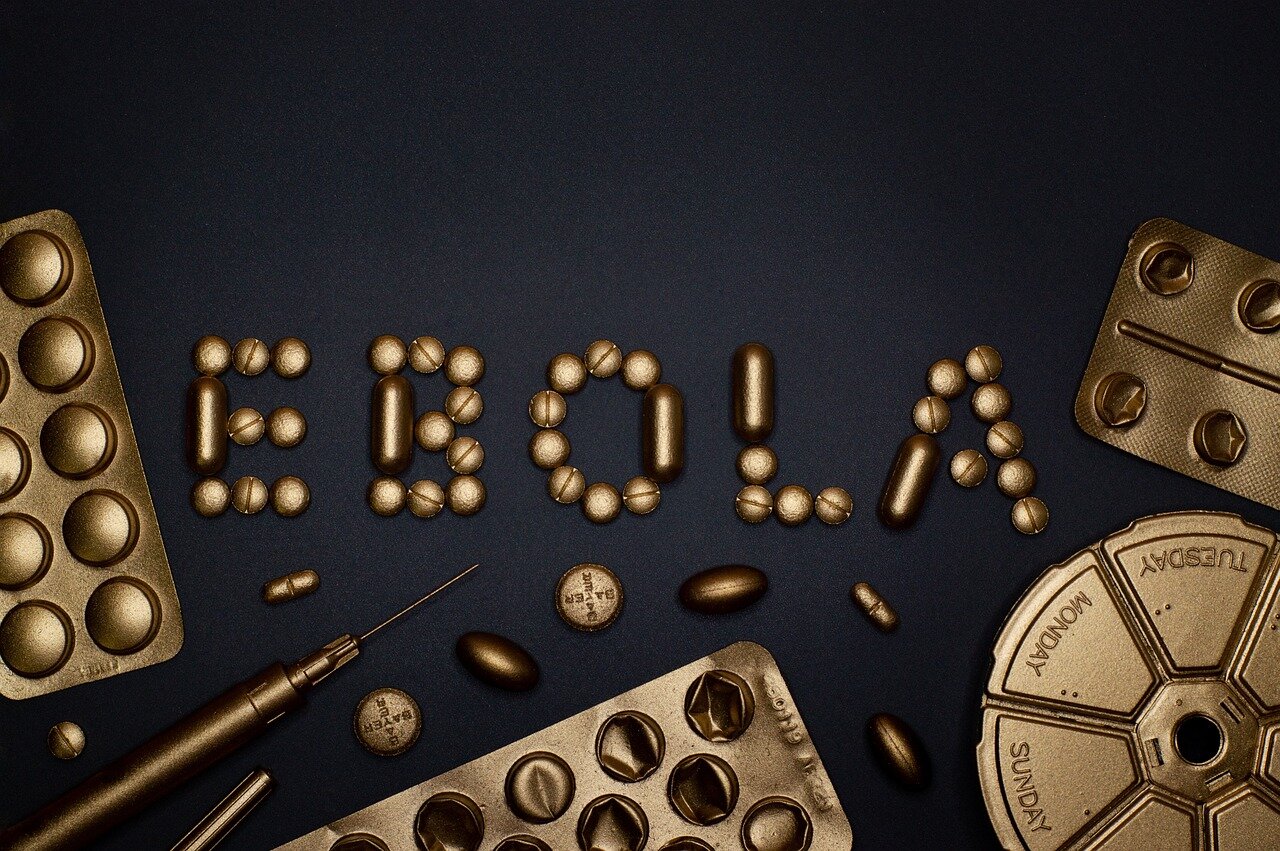 An international health organization team collaborating with local officials to coordinate an emergency response to the outbreak