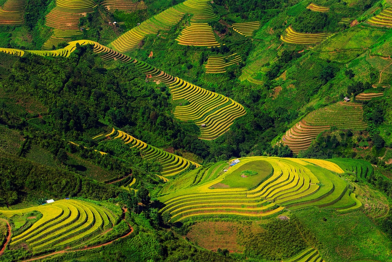 A visual representation of diverse musical influences, featuring elements of pop, R&B, and electronic music, symbolizing the fusion of Eastern and Western sounds in Tsai's album